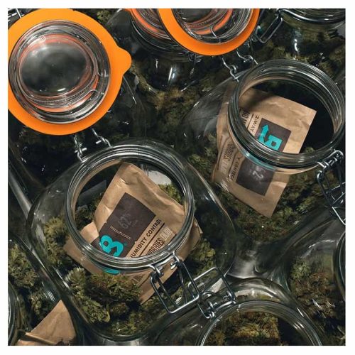 58 Boveda 4 Gram Pack uk jar