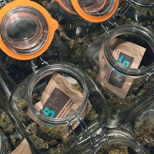 62 Boveda 67 Gram Pack