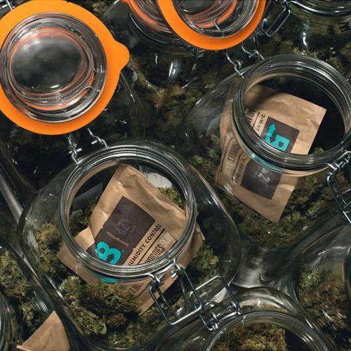 62 Boveda 8 Gram Pack 10 pack uk jar