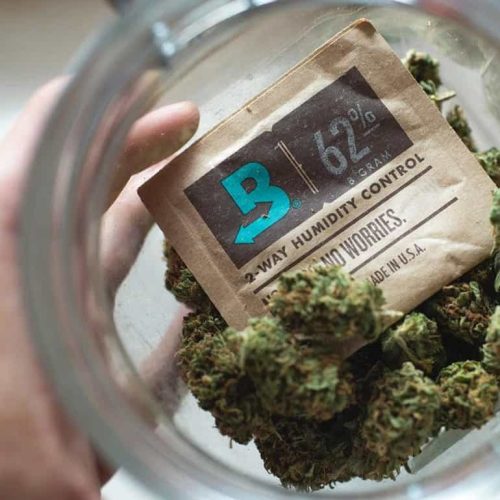 62 boveda 4 gram pack uk individually overwrapped