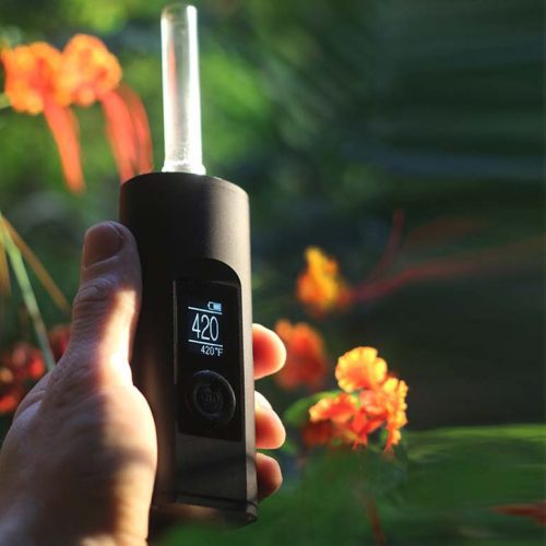 Arizer solo 2 size in hand