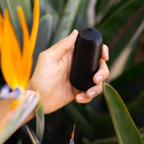 Flowermate cap pro vaporizer size in hand