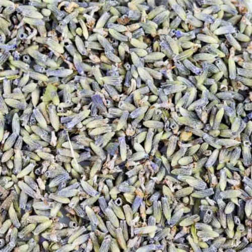 Organic Lavender min